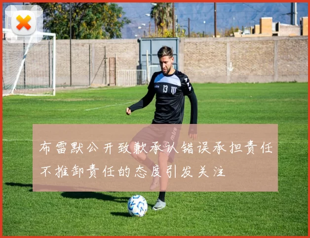 布雷默公开致歉承认错误承担责任不推卸责任的态度引发关注