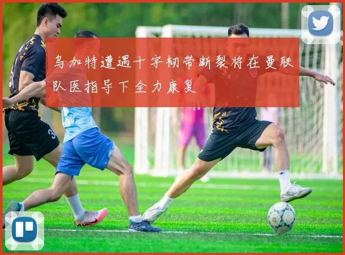 乌加特遭遇十字韧带断裂将在曼联队医指导下全力康复
